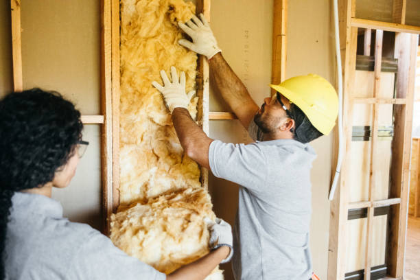 Insulation Inspection Services in Twin Lakes, CO