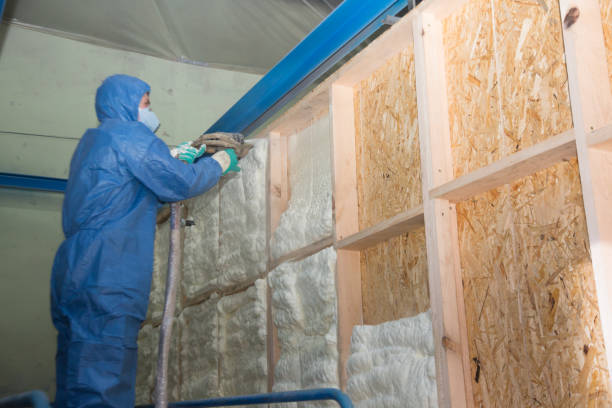 Soundproof Insulation Installation in Twin Lakes, CO
